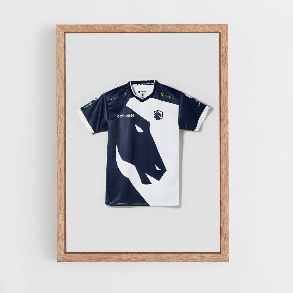 Poster Team de liquid – affiche Esports (vue 4)